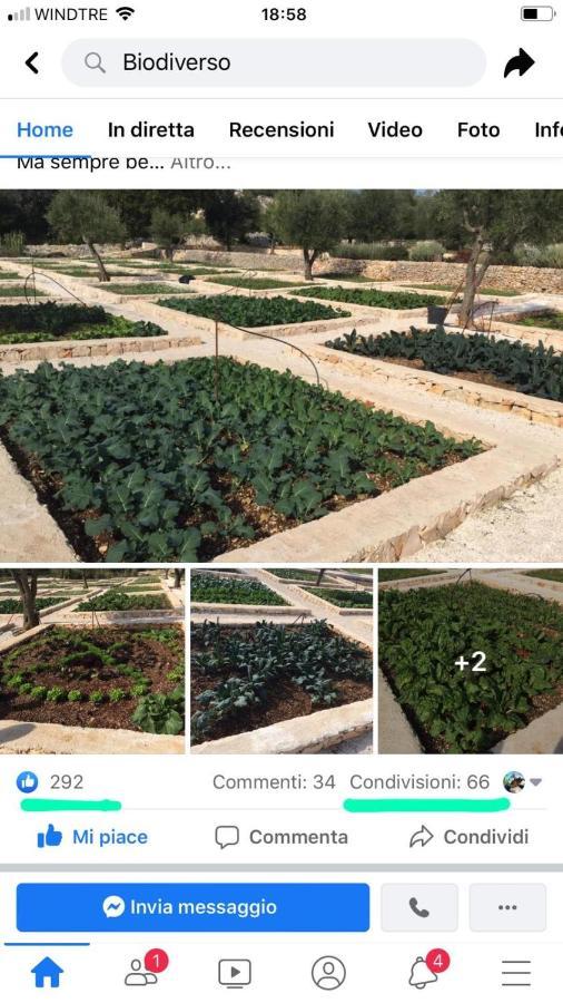 Villa Moresca dei Trulli Fernando Ostuni Esterno foto
