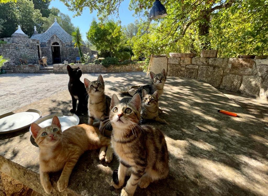 Villa Moresca dei Trulli Fernando Ostuni Esterno foto